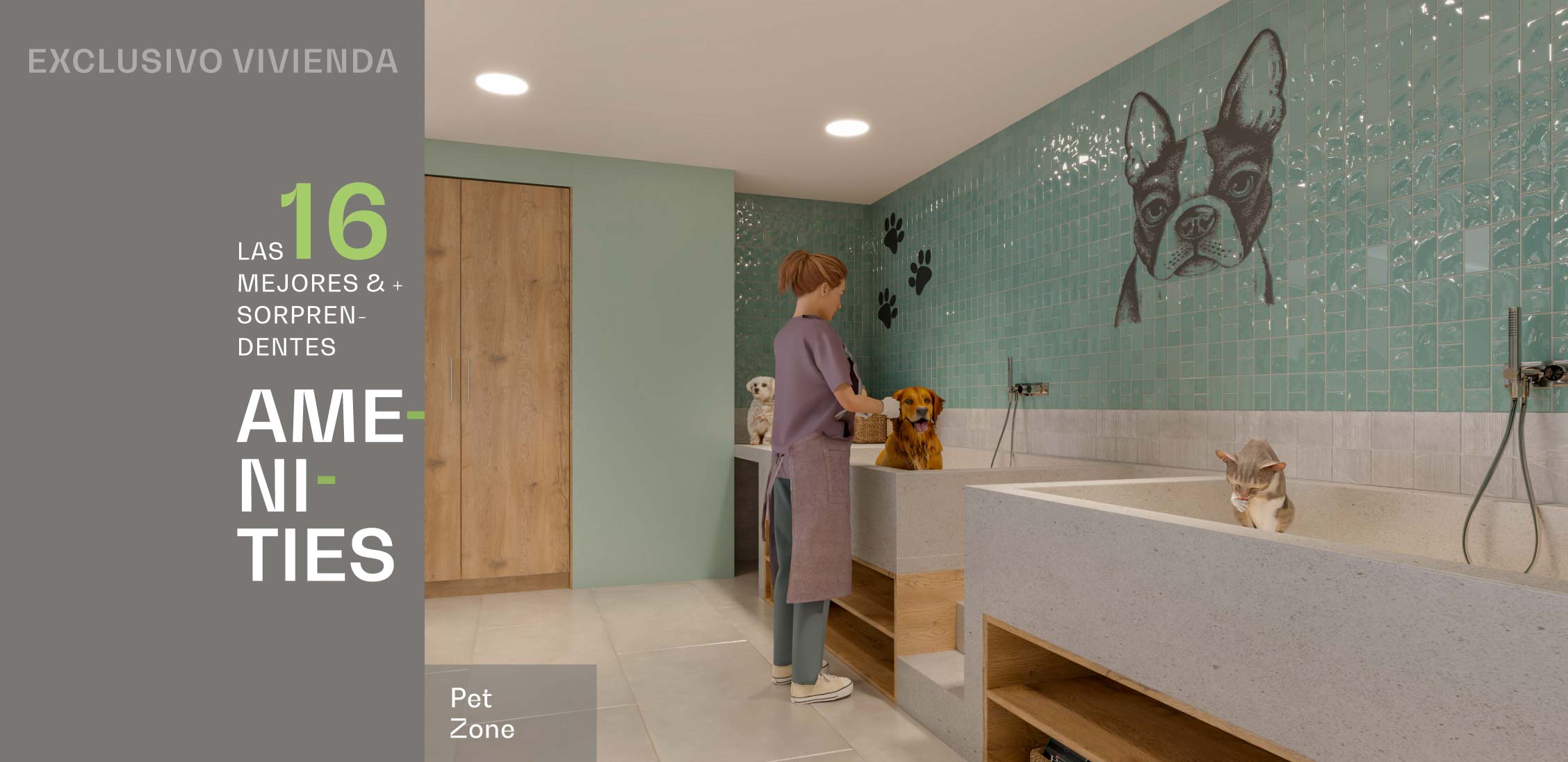 Imagenes-Amenities-PetZone-comp.jpg
